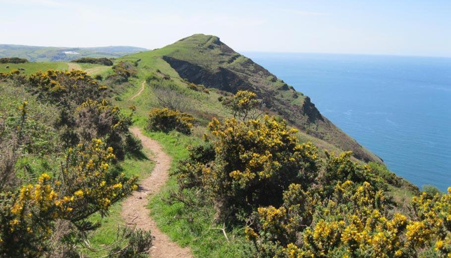 Bucks MillsBucklands At Bideford Bay别墅 外观 照片